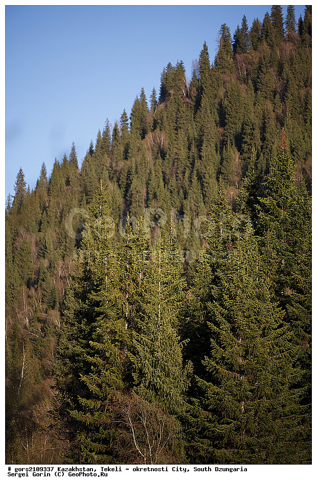 ���������, ������ , ���, ����� ����������� ������, ��� ������, ������, ����-�������