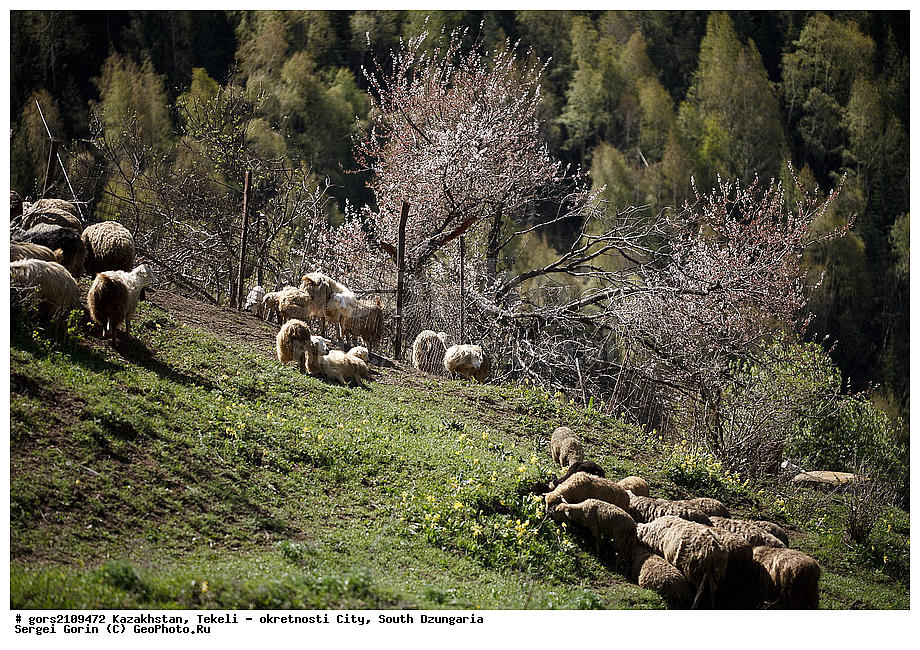 ���������, ������, ����������� ������, ����, ������, �����, ��������, ���������, ����