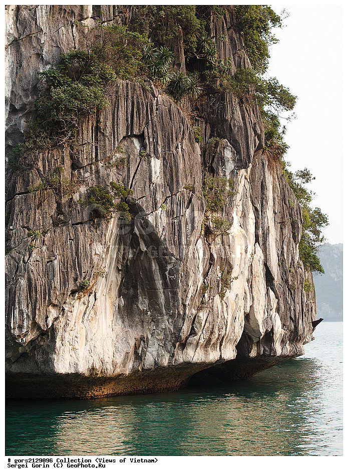 �������, �������, �����������