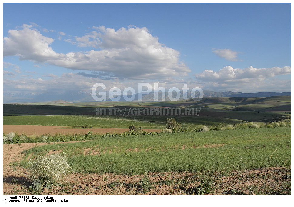  ���������, ����-������������� ����������, ����-������������ ��������������� ��������� ����������, ���������, ������� ����, ����������� ����