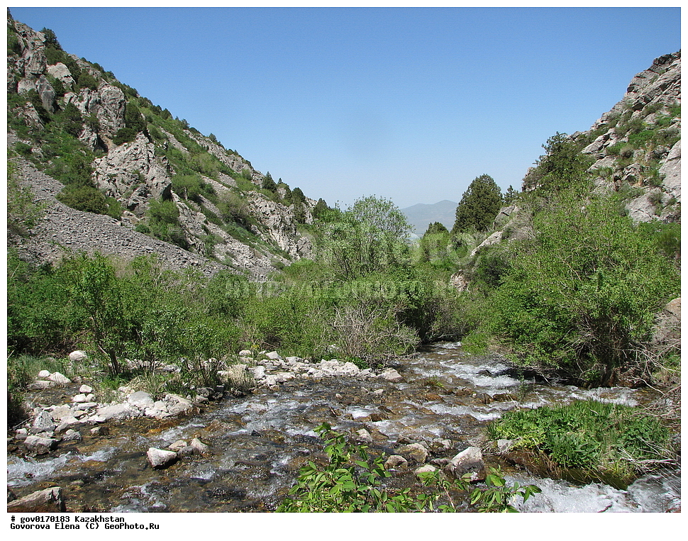  ���������, ����-������������� ����������, ����-������������ ��������������� ��������� ����������, ���������, ������� ����, ����������� ����