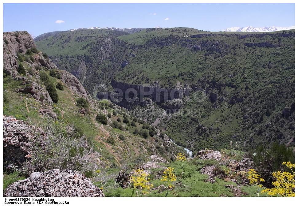 ������ ����, ����-������������� ����������, ����-������������ ��������������� ��������� ����������, ���������, ������� ����, ����������� ����