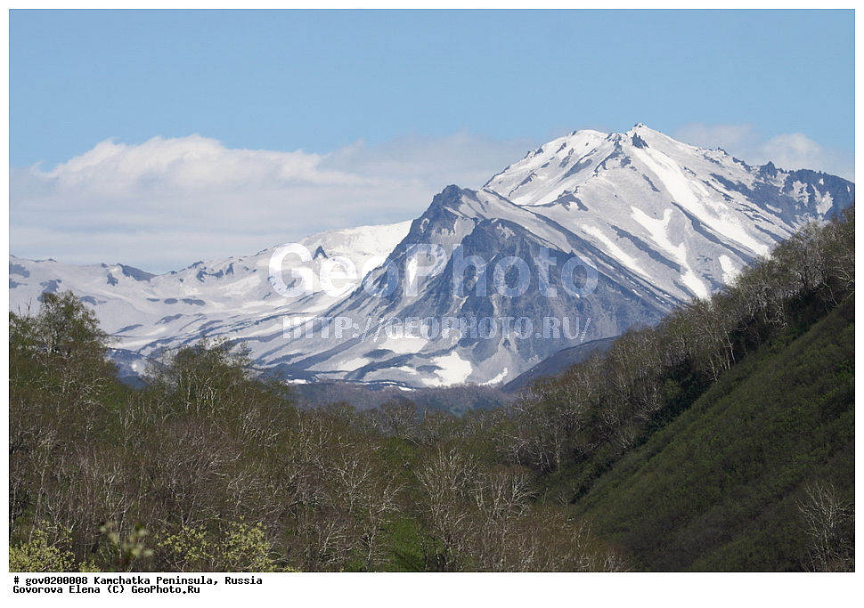 ��������� ���� ��������, ���������� ��������, ���������� ����, ��������, ������� ������, ������