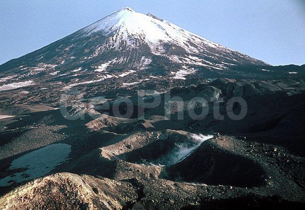 ��������, ����������, ���������� �����, ����������, �����, ������, ����������, ������