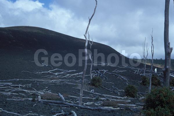 ������, �������, ����������, ����, �������