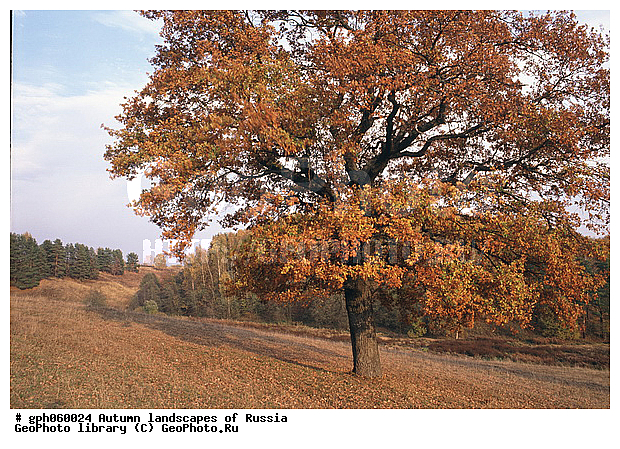 �����, ������, ������� ����, ������, ������