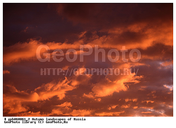 �����, ������, ������� ����, ������, ������