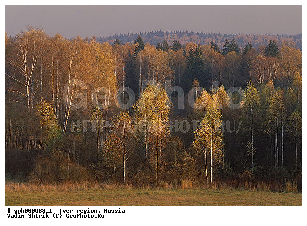 ��������, ��������, ������, ������� �����, ��������, �����, ��������, ��������