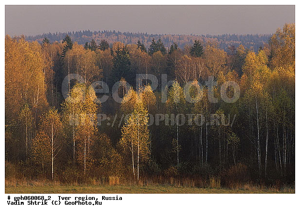 ��������, ��������, ������, ������� �����, ��������, �����, ��������, ��������