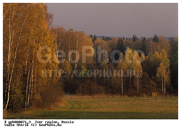 ��������, ��������, ������, ������� �����, ��������, �����, ��������, ��������