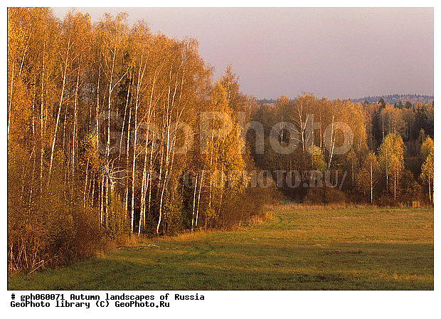 �����, ������, ������� ����, ������, ������