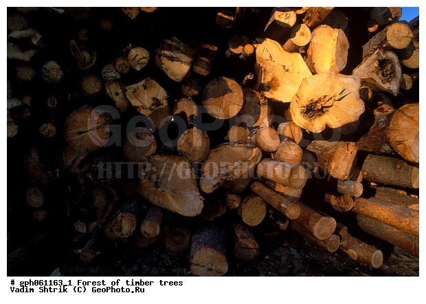 ������, ���������, ��������� ����, ���, �������� ���������