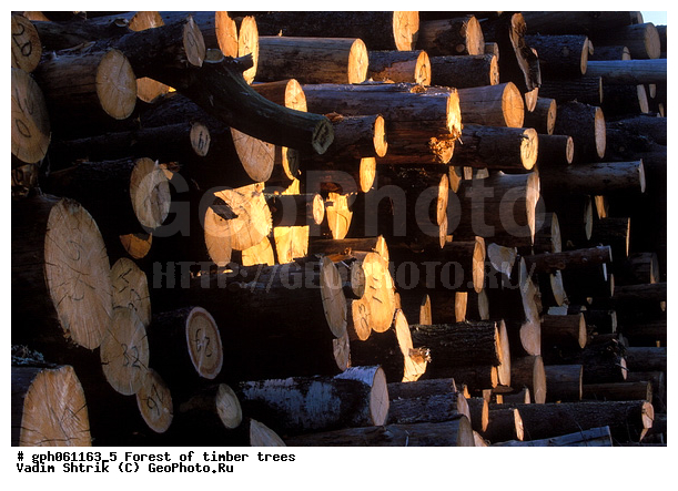 ������, ���������, ��������� ����, ���, �������� ���������