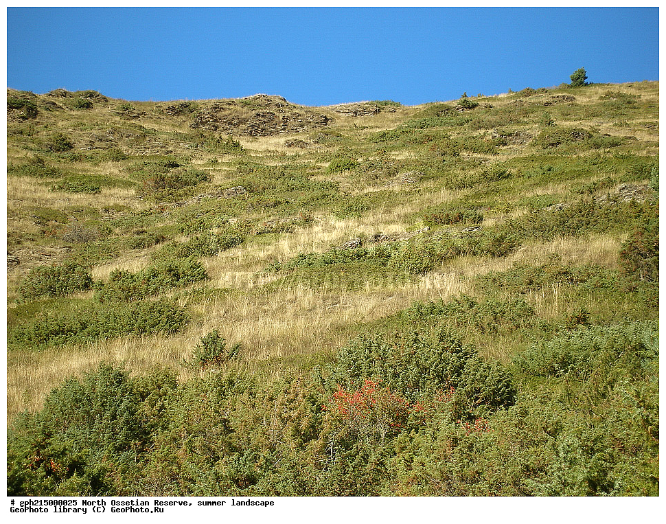 ������-���������� ����������, ����, ��������, ������, ����������, ���, �������, ������, ��������-������, ������, ����������� ������, ����������, 