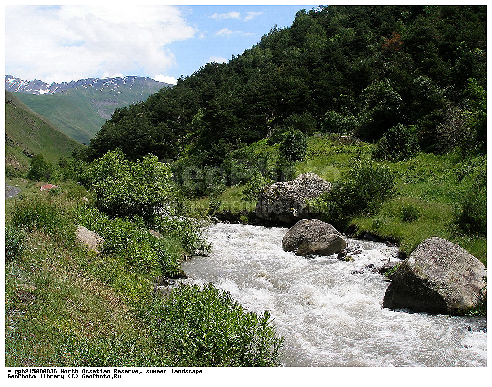 ������-���������� ����������, ����, ��������, ������, ����������, ���, �������, ������, ��������-������, ������, ����������� ������, ����������, 