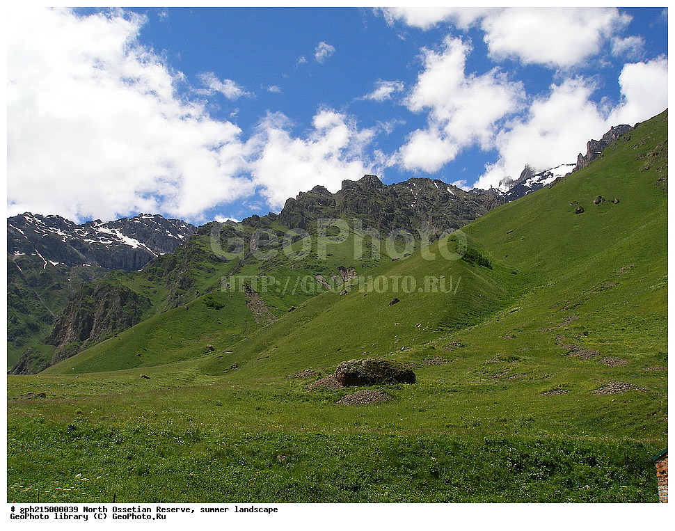 ������-���������� ����������, ����, ��������, ������, ����������, ���, �������, ������, ��������-������, ������, ����������� ������, ����������, 