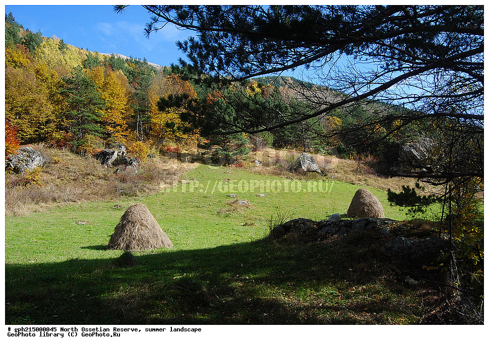 ������-���������� ����������, ����, ��������, ������, ����������, ���, �������, ������, ��������-������, ������, ����������� ������, ����������, 