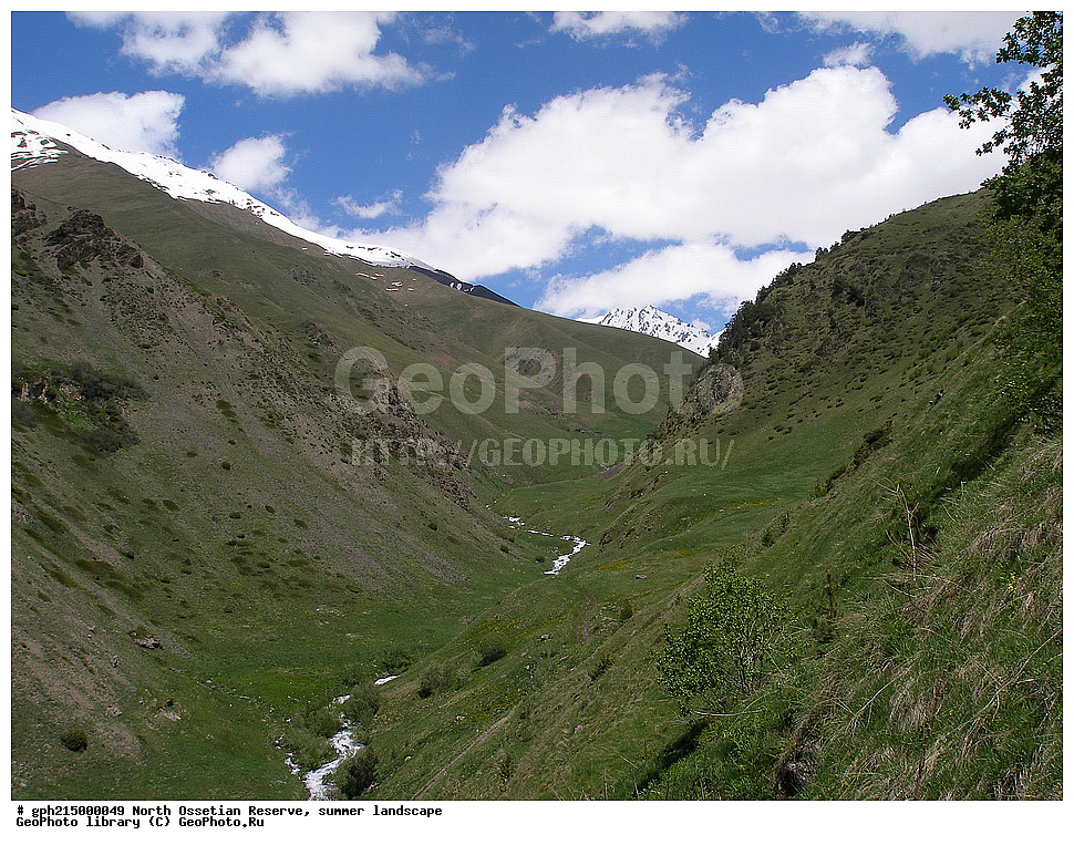 ������-���������� ����������, ����, ��������, ������, ����������, ���, �������, ������, ��������-������, ������, ����������� ������, ����������, 