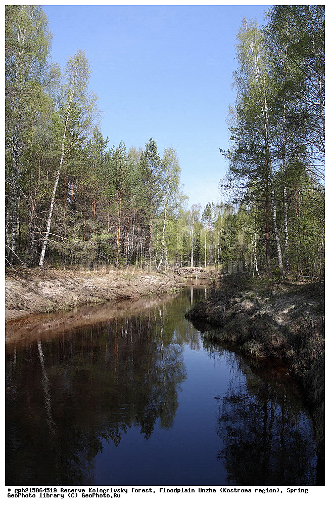 ����������, ������������ ���, ����������� �������, �����, ����,  ������, ����, ����, ��������