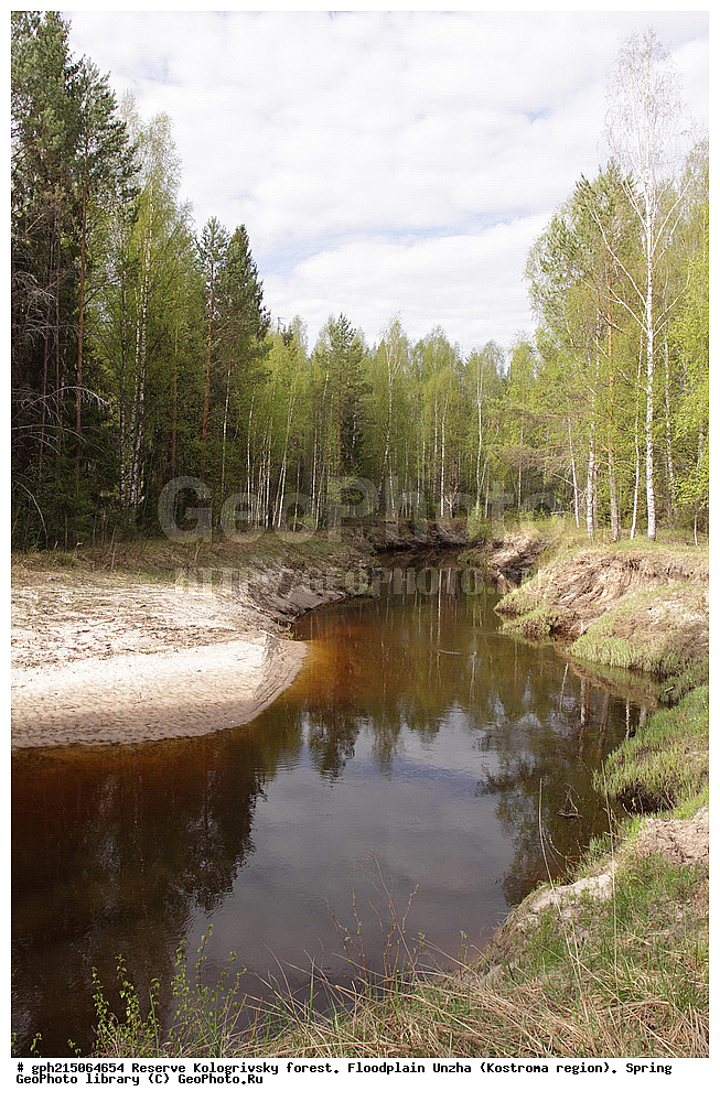 ����������, ������������ ���, ����������� �������, �����, ����,  ������, ����, ����, ��������