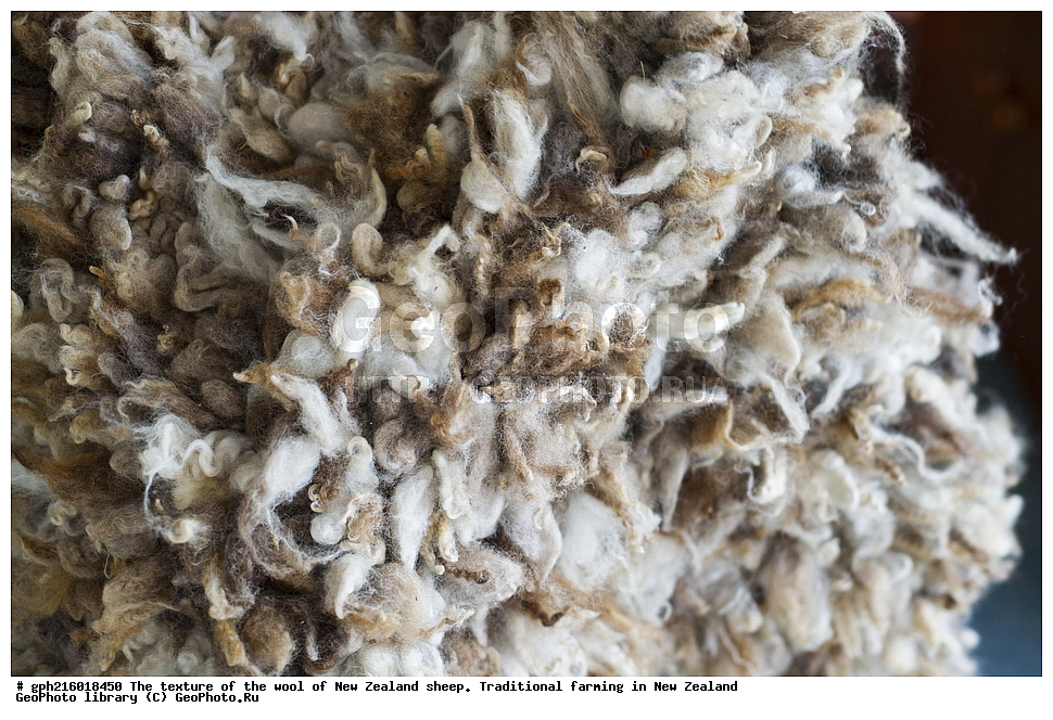 ����, ������, �������, �������, �����, ���, ������������, ������������,  ����� ��������