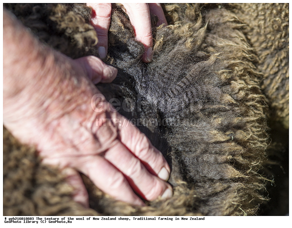 ����, ������, �������, �������, �����, ���, ������������, ������������,  ����� ��������