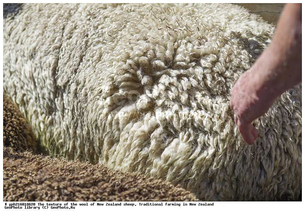 ����, ������, �������, �������, �����, ���, ������������, ������������,  ����� ��������