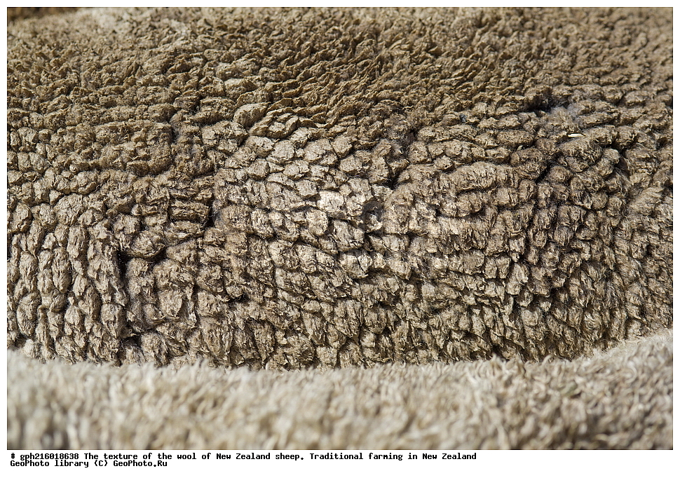 ����, ������, �������, �������, �����, ���, ������������, ������������,  ����� ��������