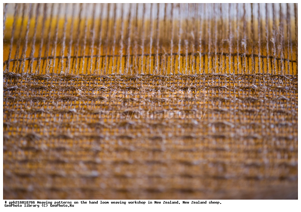 ����, ������, �������, �������, �������, �������� ����,  ������������, ������������,  ����� ��������,  �������� ��������