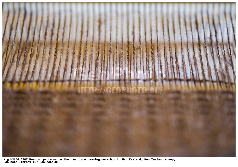 ����, ������, �������, �������, �������, �������� ����,  ������������, ������������,  ����� ��������,  �������� ��������