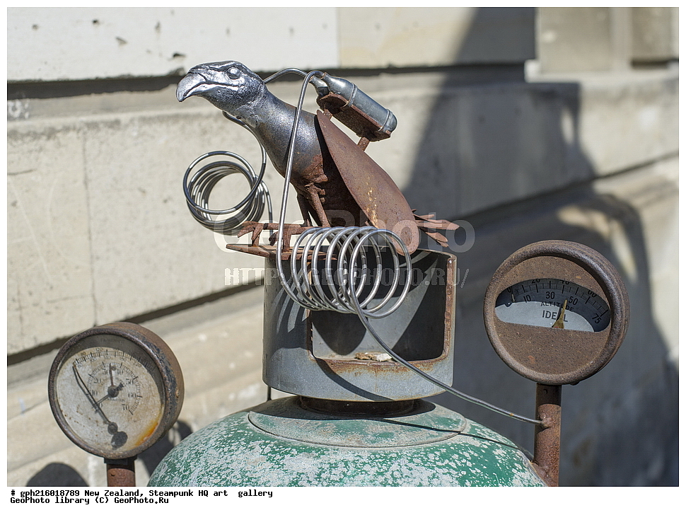 ����� ��������, ���������� ������, ����, �����, ���������