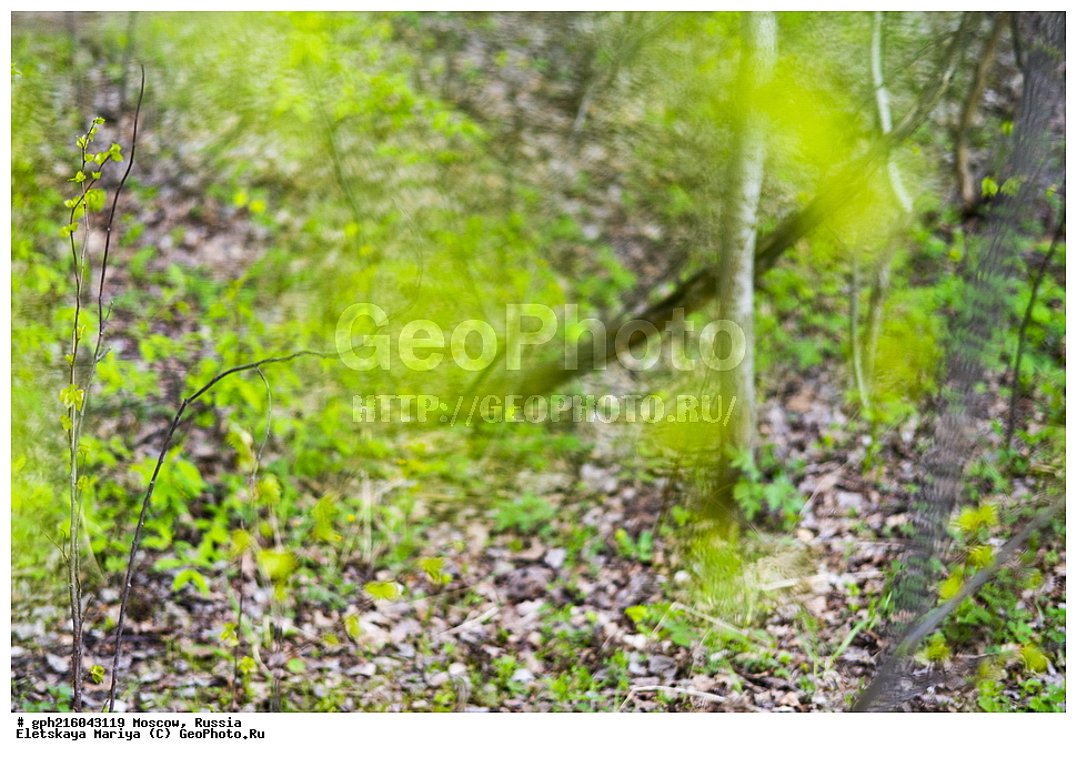 �����, �������� ���, ��������� ����, ��������� ����, ������, ������