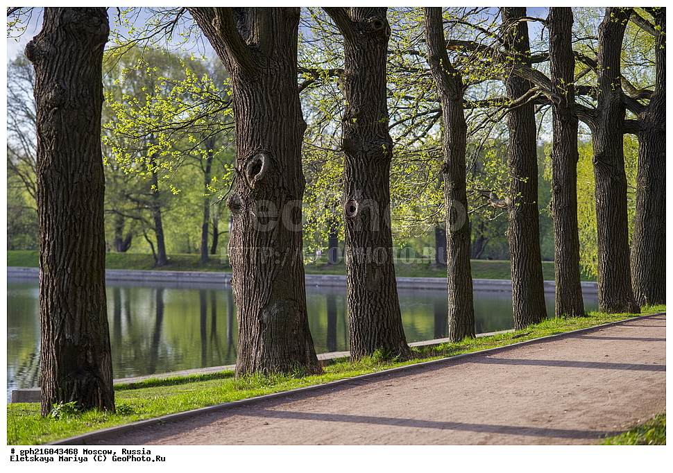 �����, �������� ���, ��������� ����, ��������� ����, ������, ������