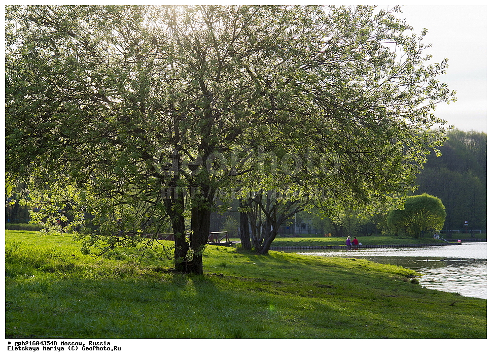 �����, �������� ���, ��������� ����, ��������� ����, ������, ������