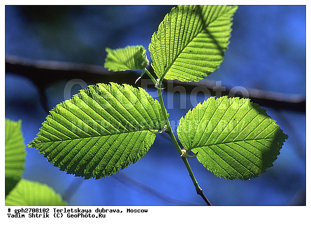 ���������, ���������� ����, ����� � ����� ������, ������, ��������� �������, ������, �������, ����, ������ ��������, ����