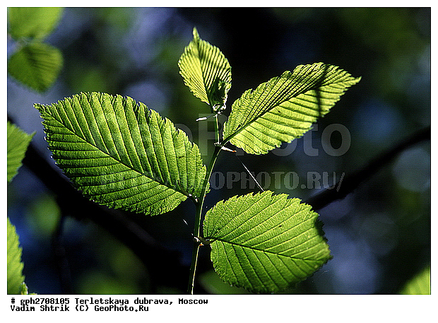 ���������, ���������� ����, ����� � ����� ������, ������, ��������� �������, ������, �������, ����, ������ ��������, ����