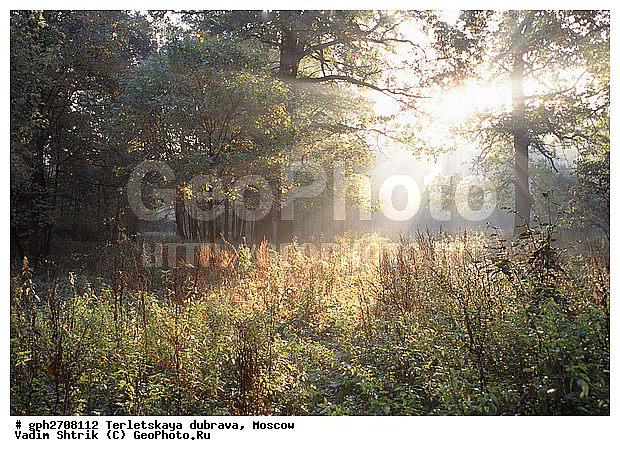 ���������, ���������� ����, ����� � ����� ������, ������, ��������� �������, ������, ������, ��������������, ������ �� �������, ����