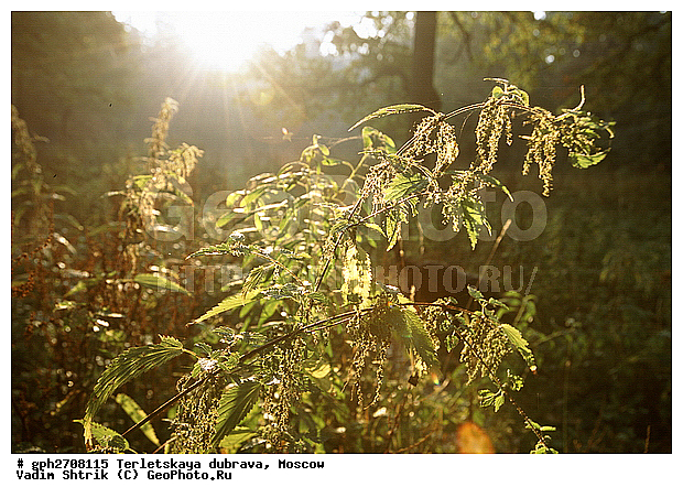 ���������, ���������� ����, ����� � ����� ������, ������, ��������� �������, ������, ��������������, ����, ������ �� �������, ������ ��������, ����