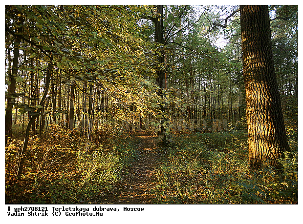 ���������, ���������� ����, ����� � ����� ������, ������, ��������� �������, ������, ������, ���, ����, �����, ����� ������