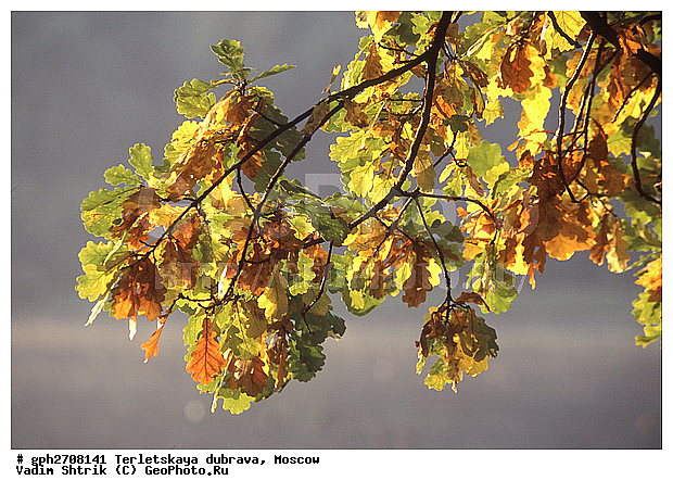 ���������, ���������� ����, ����� � ����� ������, ������, ��������� �������, ������, ������, ���, ����, ������ ��������, ����