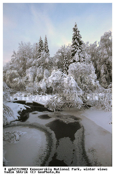 ����������� ���, �������, ����, ����������� ���������, ����