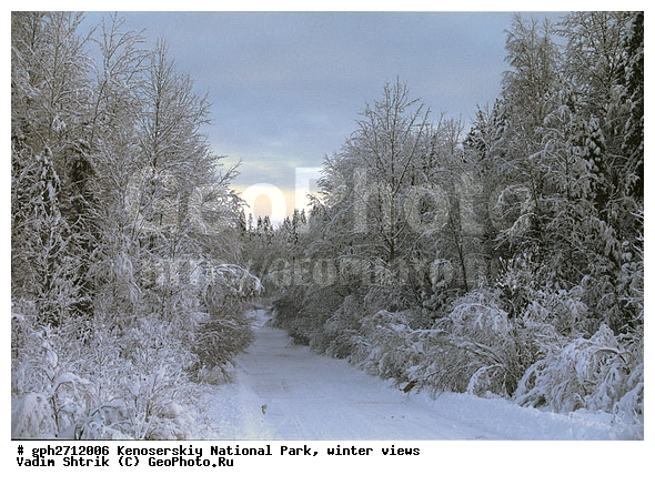 ����������� ���, �������, ����, ����������� ���������