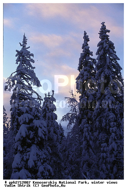 ����������� ���, �������, ����, ����������� ���������