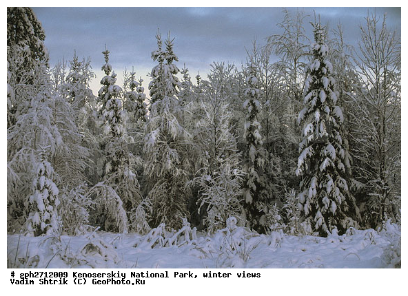 ����������� ���, �������, ����, ����������� ���������