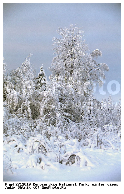 ����������� ���, �������, ����, ����������� ���������