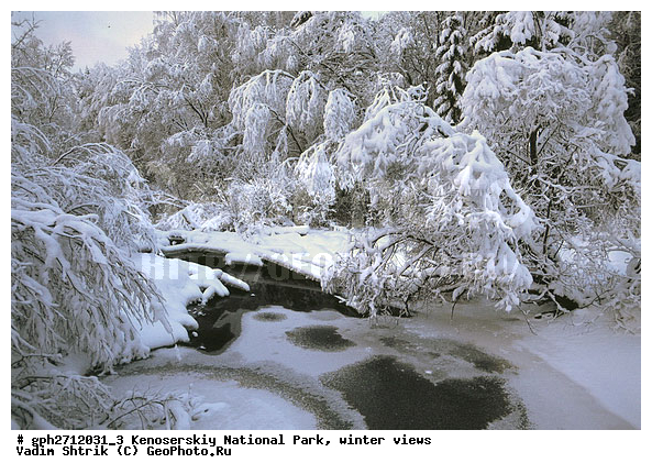 ����������� ���, �������, ����, ����������� ���������, ����