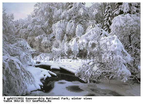 ����������� ���, �������, ����, ����������� ���������, ����