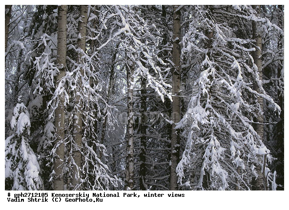 ����������� ���, �������, ����, ����������� ���������