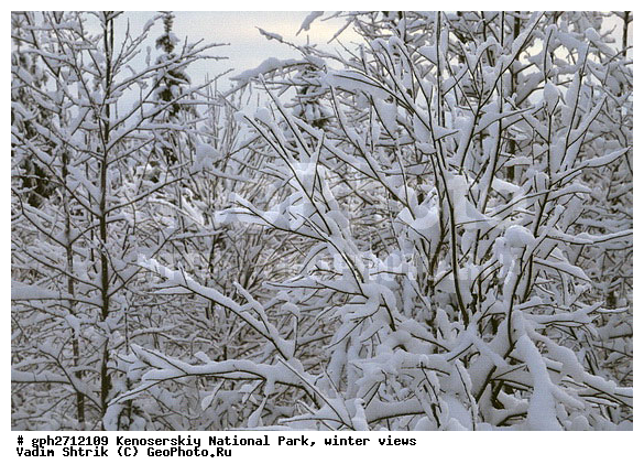 ����������� ���, �������, ����, ����������� ���������