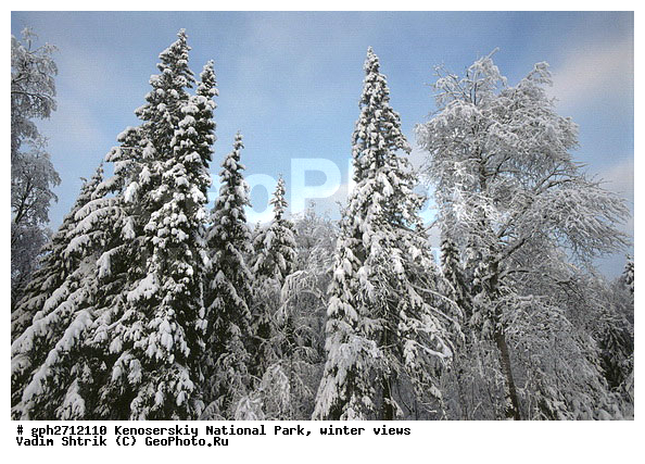 ����������� ���, �������, ����, ����������� ���������